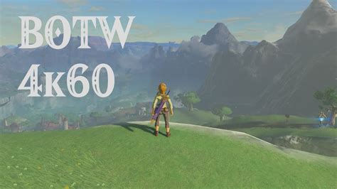 Cemu botw 60 fps. Things To Know About Cemu botw 60 fps. 